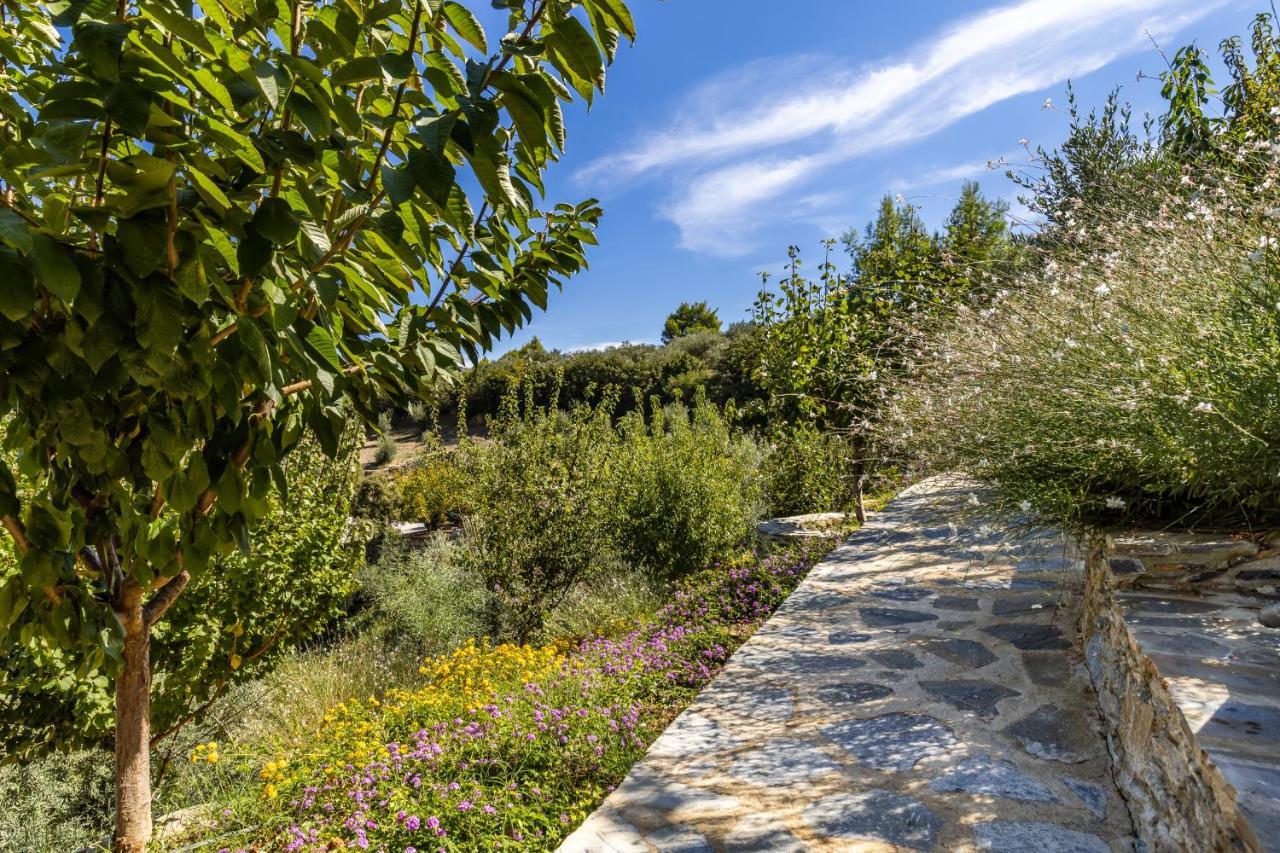 Villa Politimi Luxury Retreat Skópelos Eksteriør bilde